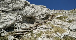 Planina Kuk – Vrh nad Škrbino – Planina Kuk 5